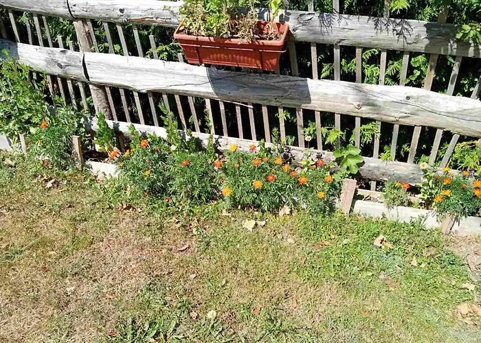 Farma 2 Lantställe *